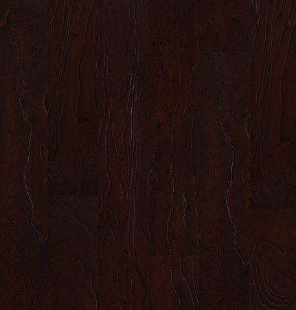 Вяз Elm Red