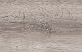 Дуб Мирум D7074