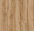 Classic Oak 24837