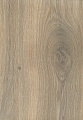 Дуб Таза O420