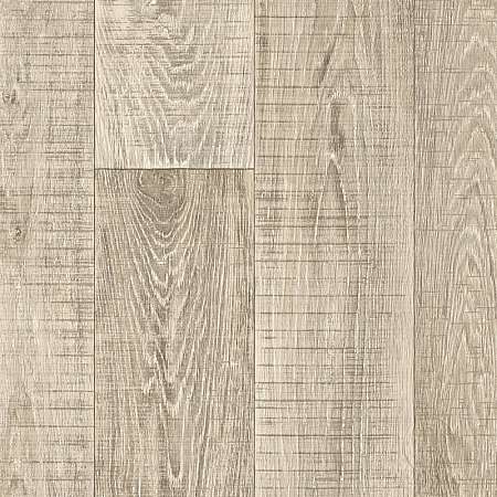 Winter Oak 855 (3)