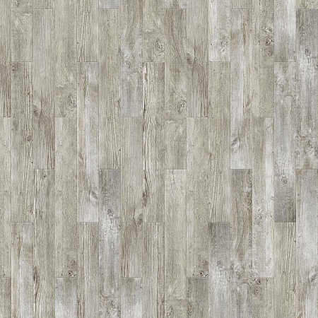 Caravaggio S 504450004