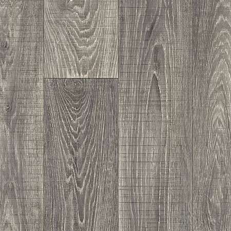 Winter Oak 899 (3)