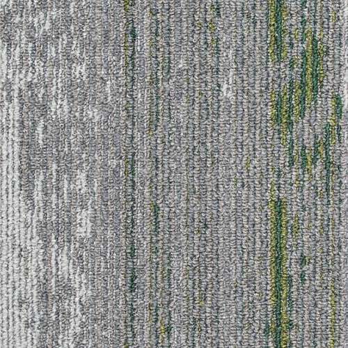 Disruptive Path 916