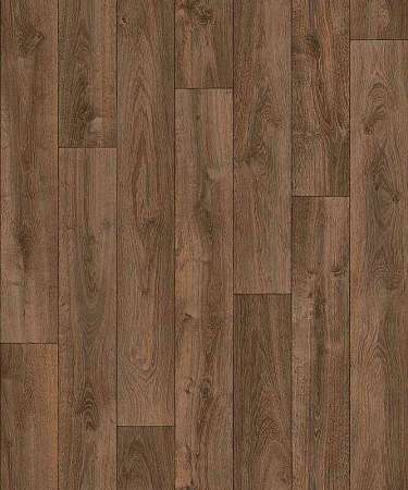 CARPATIAN OAK 4 (3)