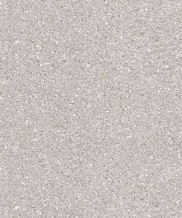 ARES 2 (2,5)
