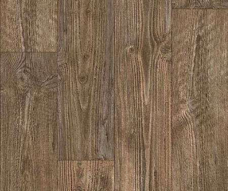 AUSTRALIAN PINE 3 (2,5)