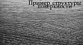 Орех Индийский D 3875