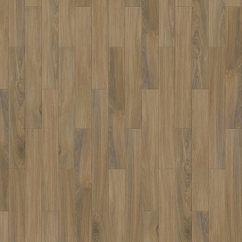 Rubens S 504450002