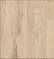 Имбирь (Canyon Natural) 6200-1334