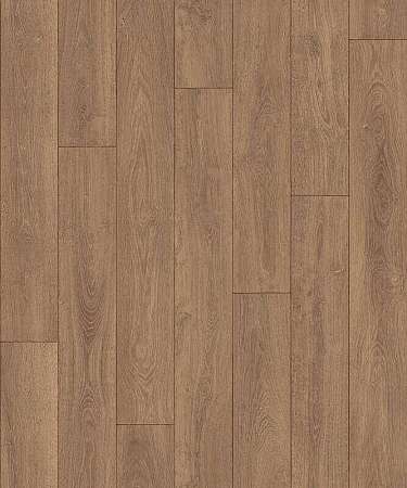 CARPATIAN OAK 5 (3,5)