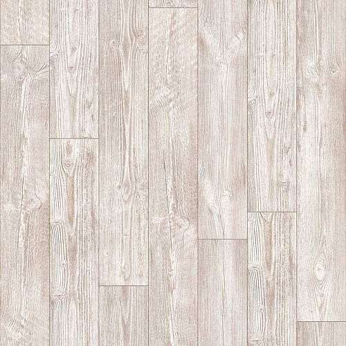 AUSTRALIAN PINE 5 (4)