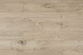 Дуб 111062