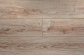 JT205 Дуб Коделли