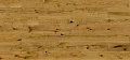 Дуб Biscotti
