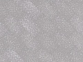NOX-1768 Фицрой