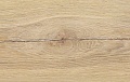 Старая Вена D1813