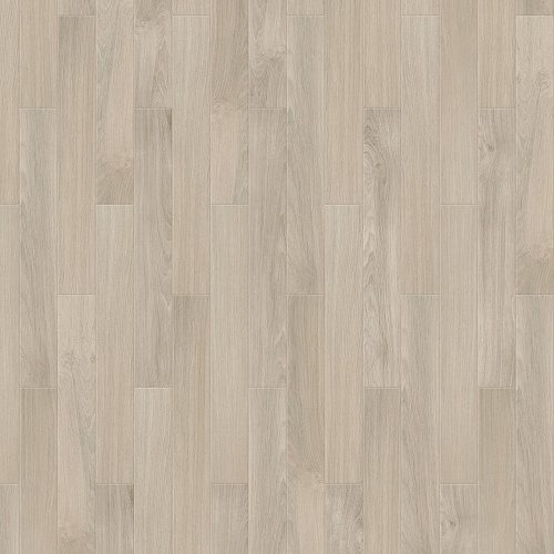 Botticelli S 504450000