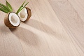 Дуб Coconut