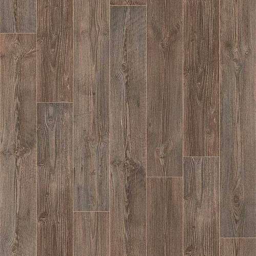AUSTRALIAN PINE 4 (3,5)