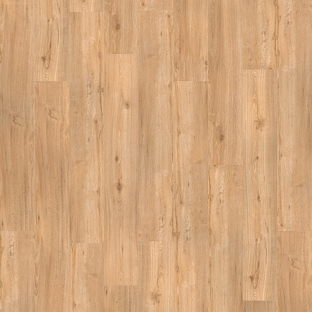 Jasper