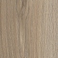 FP038 Дуб Луанда