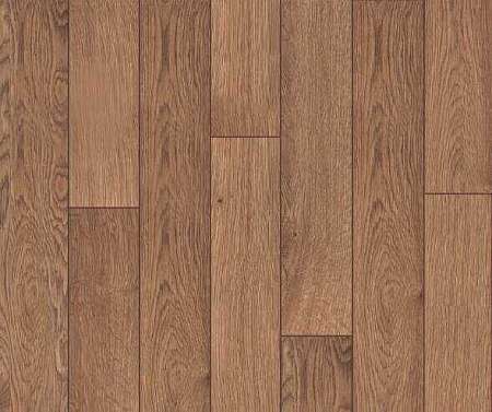 GOLD OAK 1 (3)