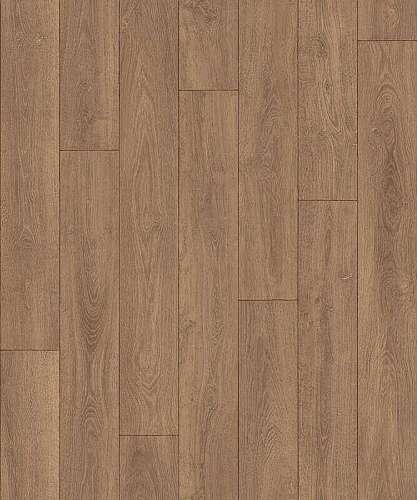 CARPATIAN OAK 5 (2)