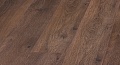Дуб Адриатика D 3793