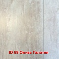 Олива Галатея ID69