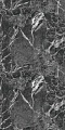 SN17-07-19 Бельведер Dark