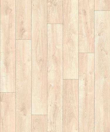 CARPATIAN OAK 1 (4)