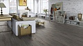 Orient