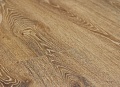 Evergreen Oak PR2794 22857