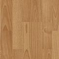 1604 Beech Orlando (Бук Орландо)