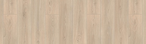 Темпера 
504015080