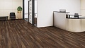 Орех NEWPORT 37658 EG
