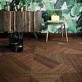 Shades 62880