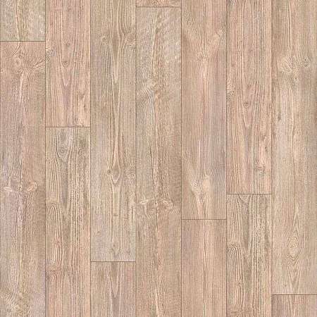 AUSTRALIAN PINE 6 (3,5)