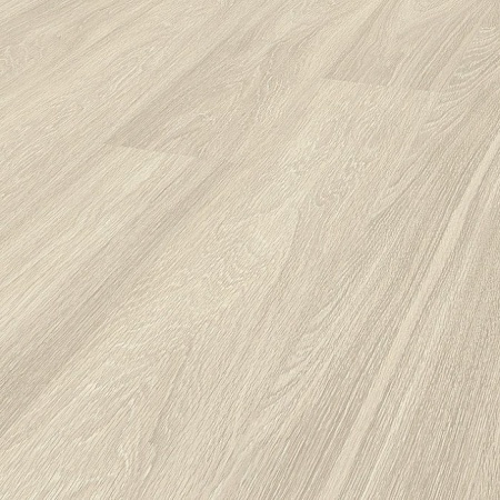 Дуб Снежный 5303