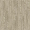 Rembrandt S 504450008