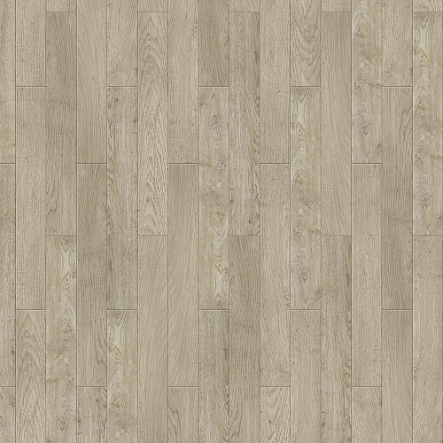 Rembrandt S 504450008